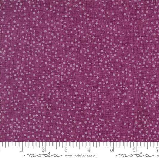 Superbloom - Dotty Thatched Dahlia