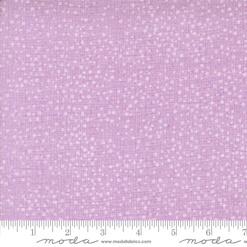 Superbloom - Dotty Thatched Freesia