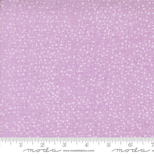 Superbloom - Dotty Thatched Freesia