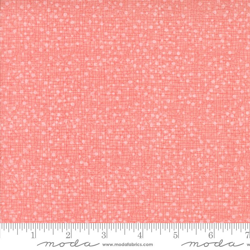 Superbloom - Dotty Thatched Carnation