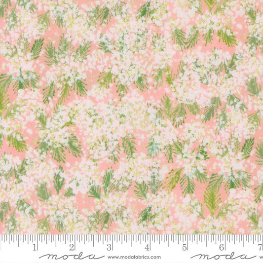 Sweet Cecily Rose 24642 11