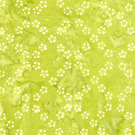 Frosted Foliage -Green Seedling