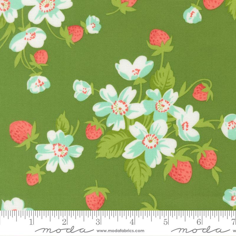 Bloomsberry Green 55350 15 Moda #1