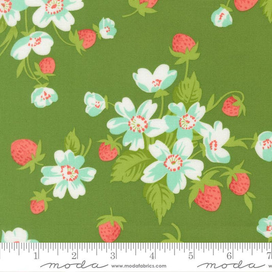 Bloomsberry Green 55350 15 Moda #1