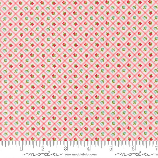 Bloomsberry Blush 55358 11 Moda #1
