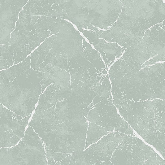 Pietra - Style A Pattern 9881 Color C2 - Concrete