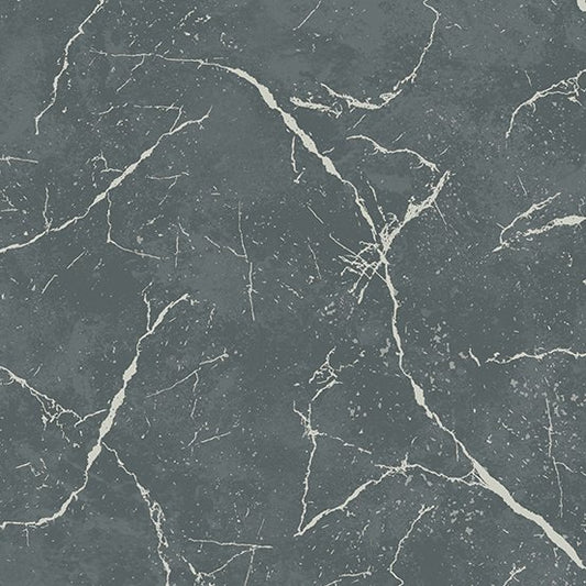 Pietra - Style A Pattern 9881 Color C1 - Graphite