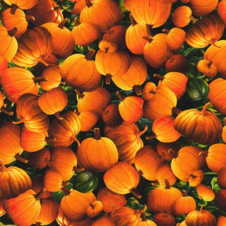 Moon Spell - Pumpkin Pumpkins