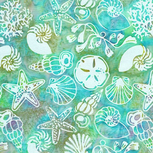 Beach Life - Baja - Sea Glass