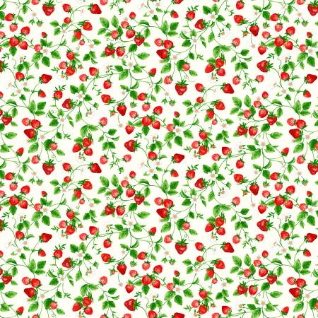 Cream Small Strawberries On Vines