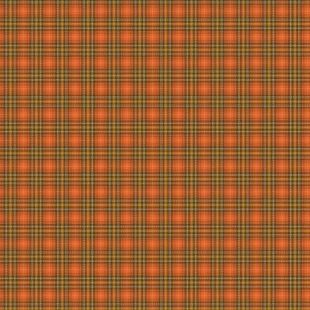 Adel in Autumn -  Plaid Persimmon (C10828)