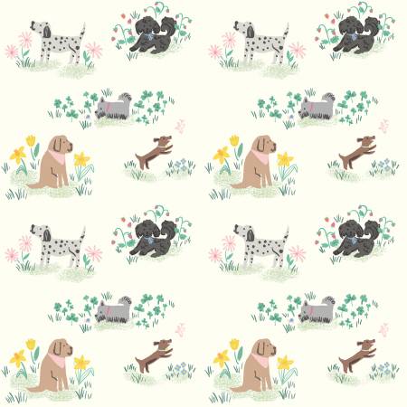Chloe - Dogs Cream