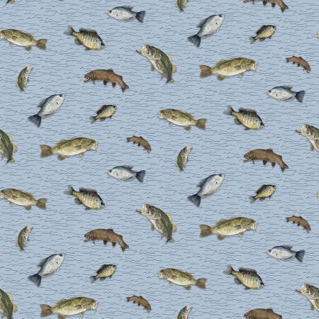 Wake at the Lake - Fish Toss Sky