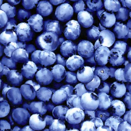 Blueberry Blueberries