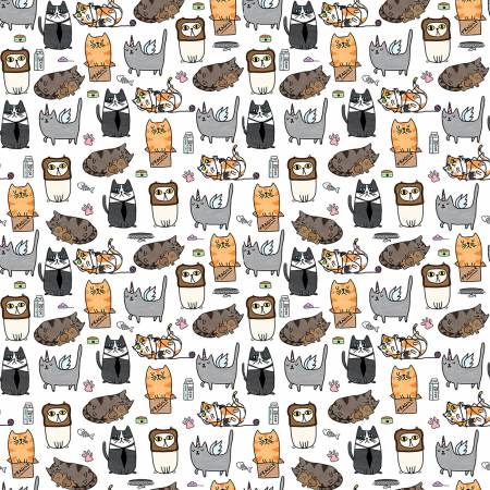Cats - White Silly Kitties