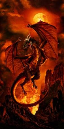 Fire Dragon Fire Panel 24in