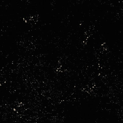 Purrfection - Black (Dots)