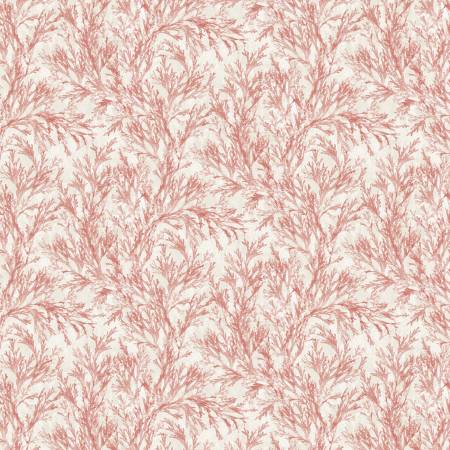 Coastal Living - Red Coral Reefs
