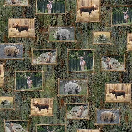 Look Into the Wild Digitally Printed by Michael Miller