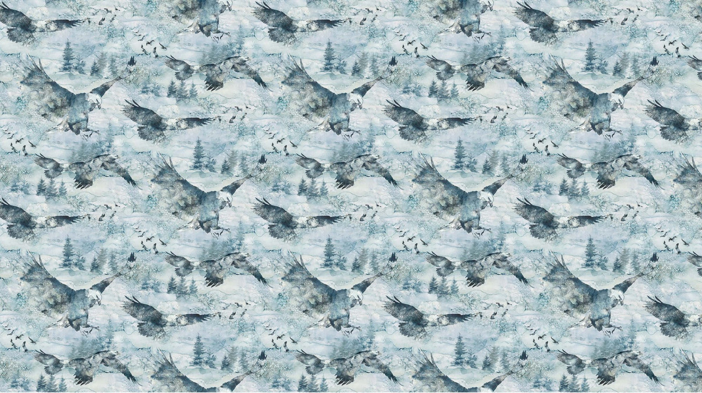 Soar - Moody Blues Eagles DP24583-42