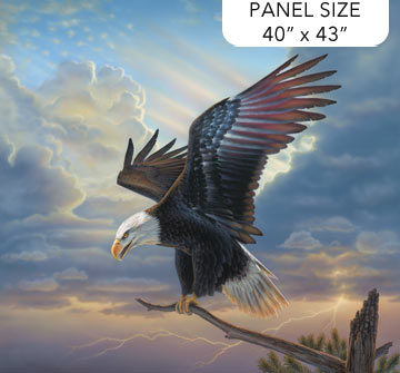 Winged Glory Panel 40x43