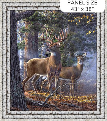 Naturescapes First Light - Panel