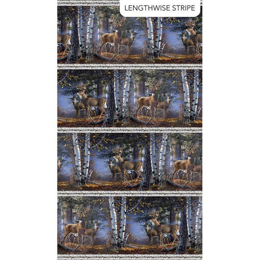 Naturescapes First Light - Border Stripe