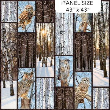 Naturescapes Solitude - Panel (Dark Brown Multi) 43" x 43"