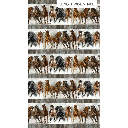Stallion - Grey Multi Border Stripe