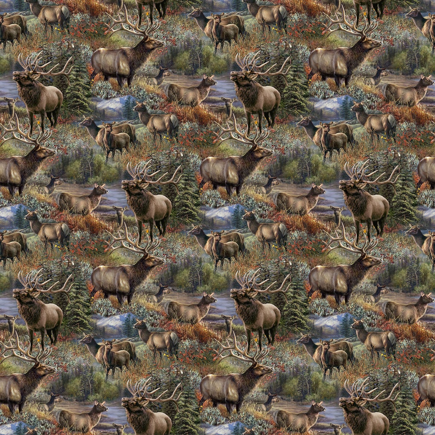 Timber Trial Naturescapes - elk scene