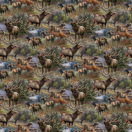 Timber Trial Naturescapes - elk scene