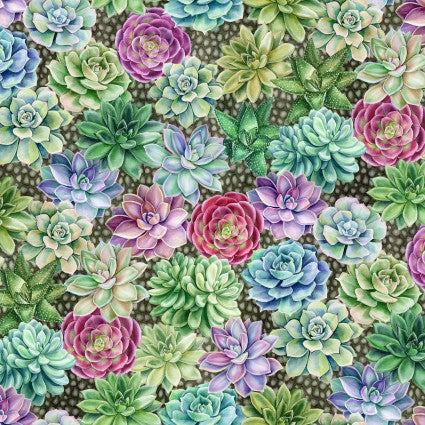 Botanical Multicolor Succulents - WW7104