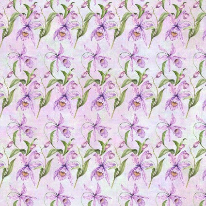 Botanical - Lavender WW7105
