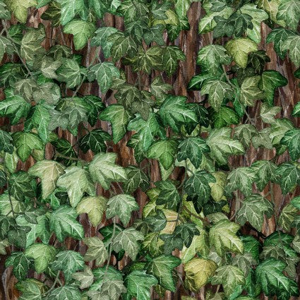Botanical - Green Ivy WW7106