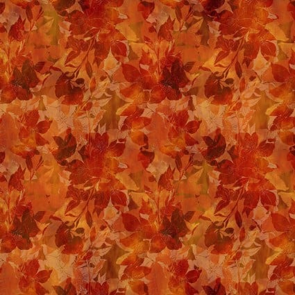 Reflections of Autumn - 6RA 1