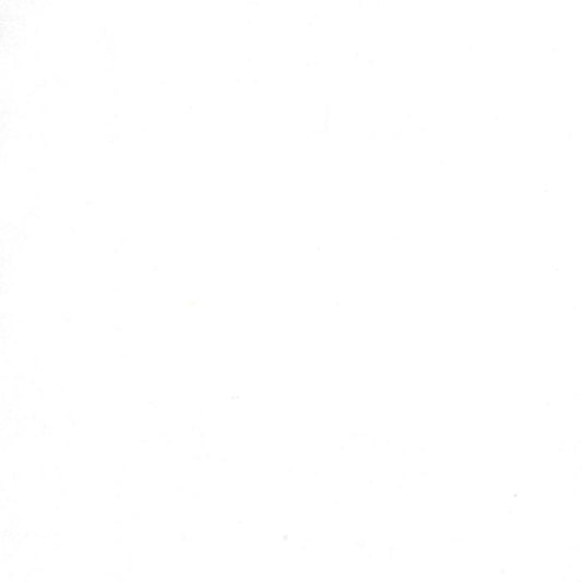 Crackle White On White 5746 110 Moda #1