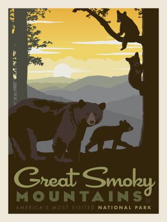 National Parks - Great Smoky Mountains Panel