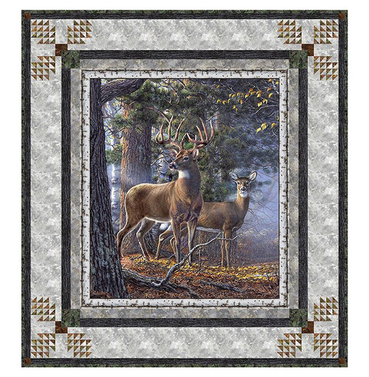 Forest Frame Pattern
