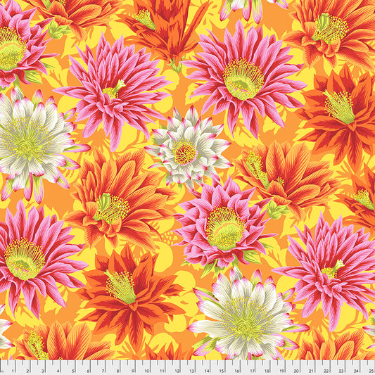 Cactus Flower - Yellow by Kaffe Fassett