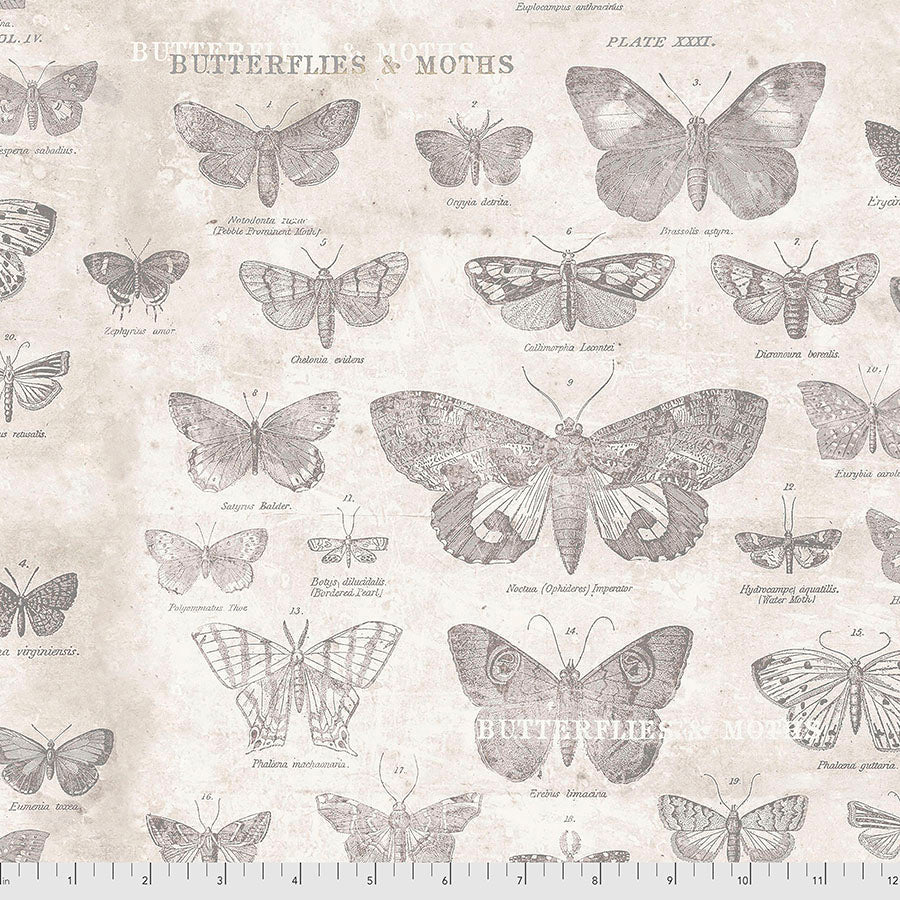 Butterflies - Parchment Eclectic Elements by Tim Holtz