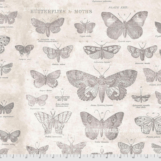Butterflies - Parchment Eclectic Elements by Tim Holtz