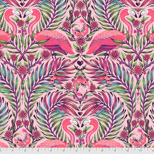 Daydreamer - Pretty in Pink - Dragonfruit