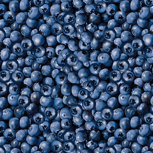 Blueberry Hill - Packed Blueberries Blue