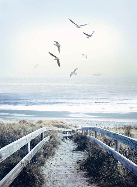 Call of the Wild - Beach Steps Panel Cut