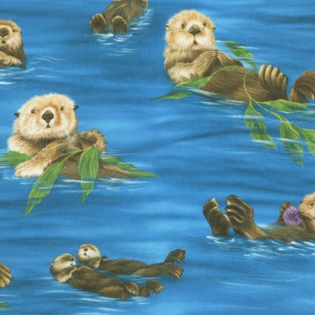Nature The Last Frontier Digital -  Otters