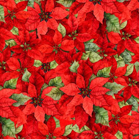 Poinsettia Radiance - Packed Poinsettia Red