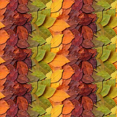 Trees - Homestead - Leaves October