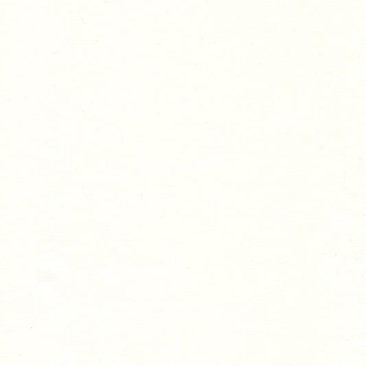 White / White - Bodacious Blacks by Island Batik