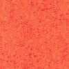 Fairy Frost Clementine