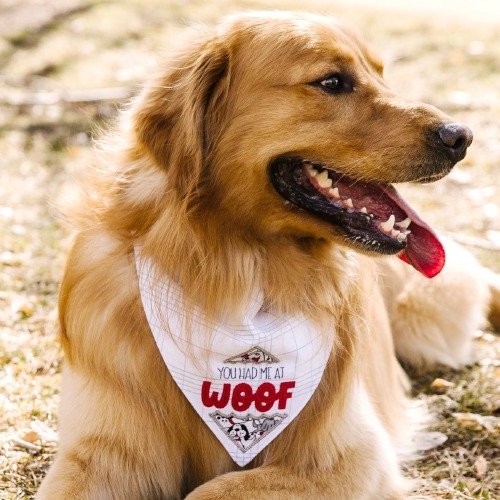 Kimberbell Pet Kerchiefs KDKB247